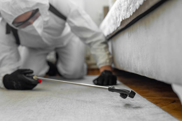 Professional Cockroach Control technician working in Allen County County, KY